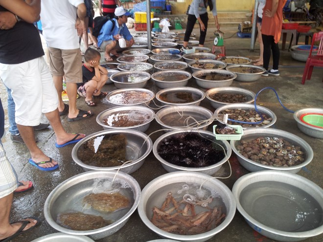 Description: Hải sản được bày bán ở cù lao Chàm.
