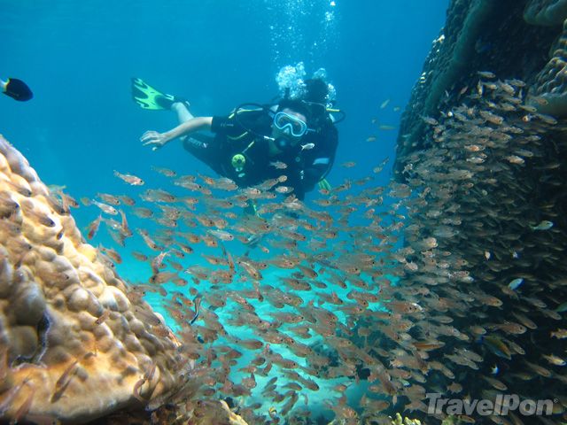 Description: Lặn ngắm những rạn san hô nguyên sơ. Ảnh: TravelPon