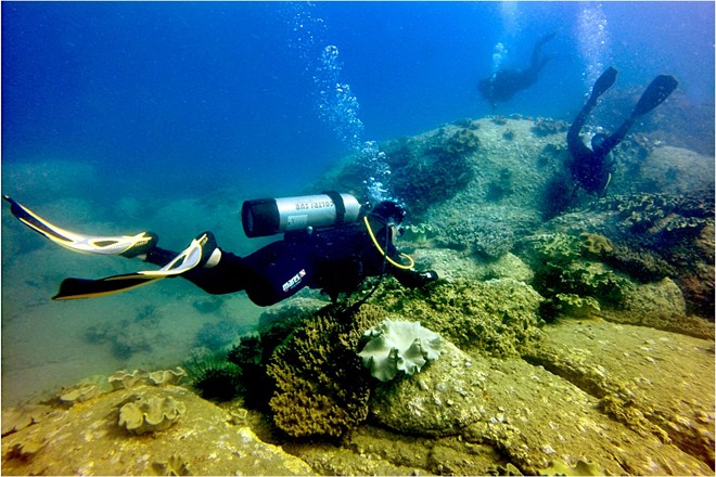 Description: Quần thể san hô nguyên thủy dài hơn 2 km với gần 234 loại san hô .