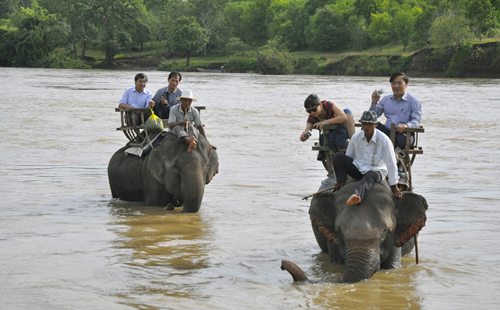 Description: Du lịch Buôn Ma Thuột - cưỡi voi vượt sông Serepok - iVIVU.com