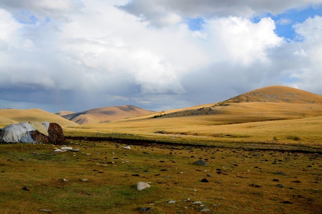 Description: Những đồng cỏ rộng lớn cũng được phủ một màu vàng khi vào thu. Cảnh sắc Mông Cổ vừa hoang sơ vừa cuốn hút, khiến nơi đây là điểm đến hấp dẫn với các du khách thích khám phá.