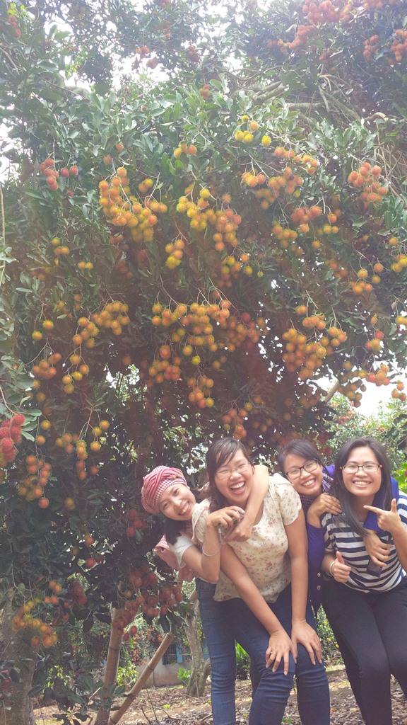 Description: Những vườn cây trái trĩu quả ở Long Khánh là điểm chụp hình yêu thích của nhiều bạn trẻ. Ảnh: San San