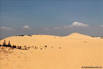 Đồi cát Bàu Trắng – ‘tiểu sa mạc Sahara’ ở Bình Thuận