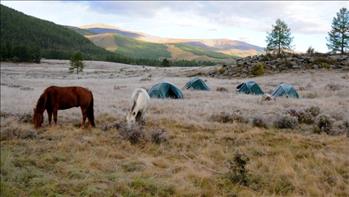 Du lịch Mông Cổ ngắm mùa thu bình yên trên thảo nguyên