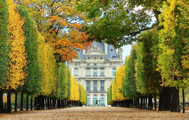 Description: Khu vườn Tuileries với những bức tượng trang trí tinh tế, hồ nuớc lớn và những lối đi phủ lá vàng thơ mộng là nơi lý tưởng để tận hưởng mùa thu.