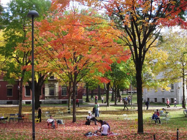 Description: Khuôn viên trường Đại học Harvard trong sắc thu 
